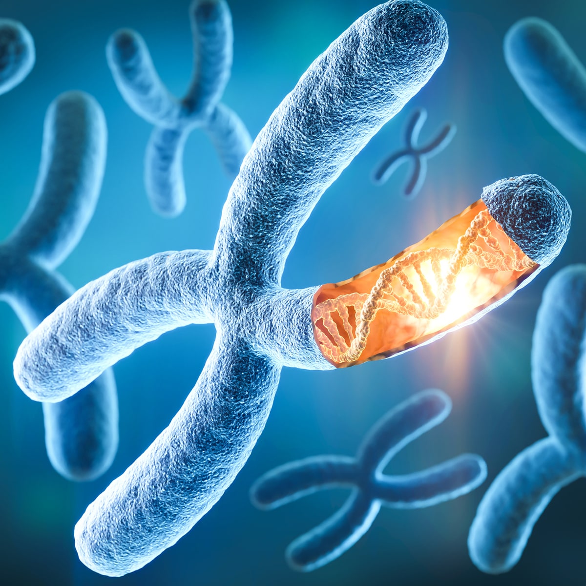 © NAD LONGEVITY Zentrum in München